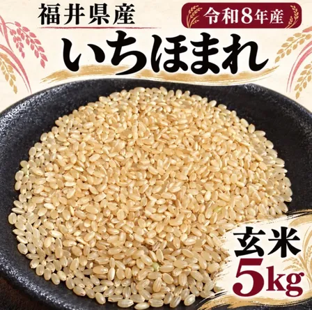 【ブランド米】福井県産いちほまれ｜5kg