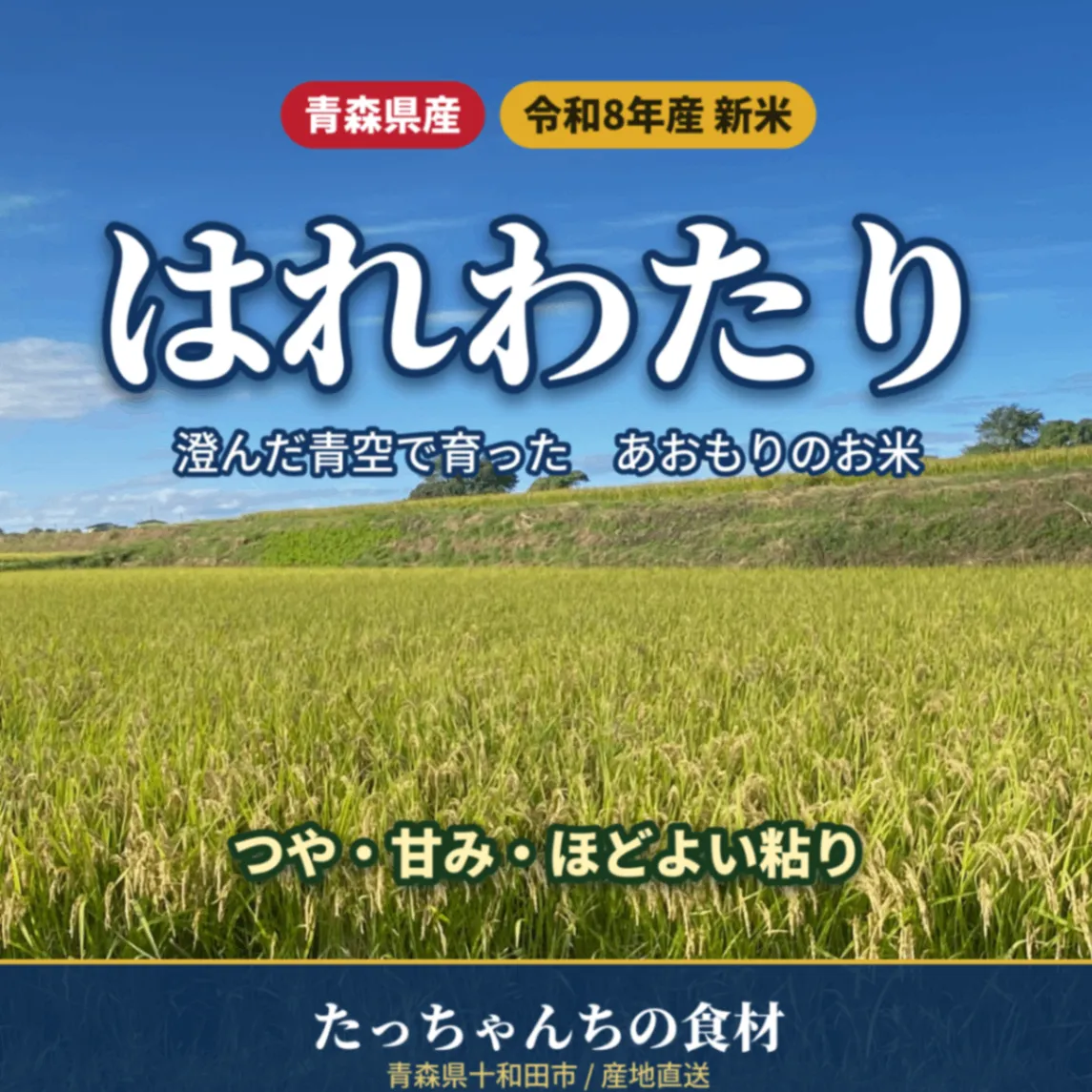 新米　R８年産青森米　『はれわたり』 ４年連続　特A米　５ｋｇ　【秋の味覚】
