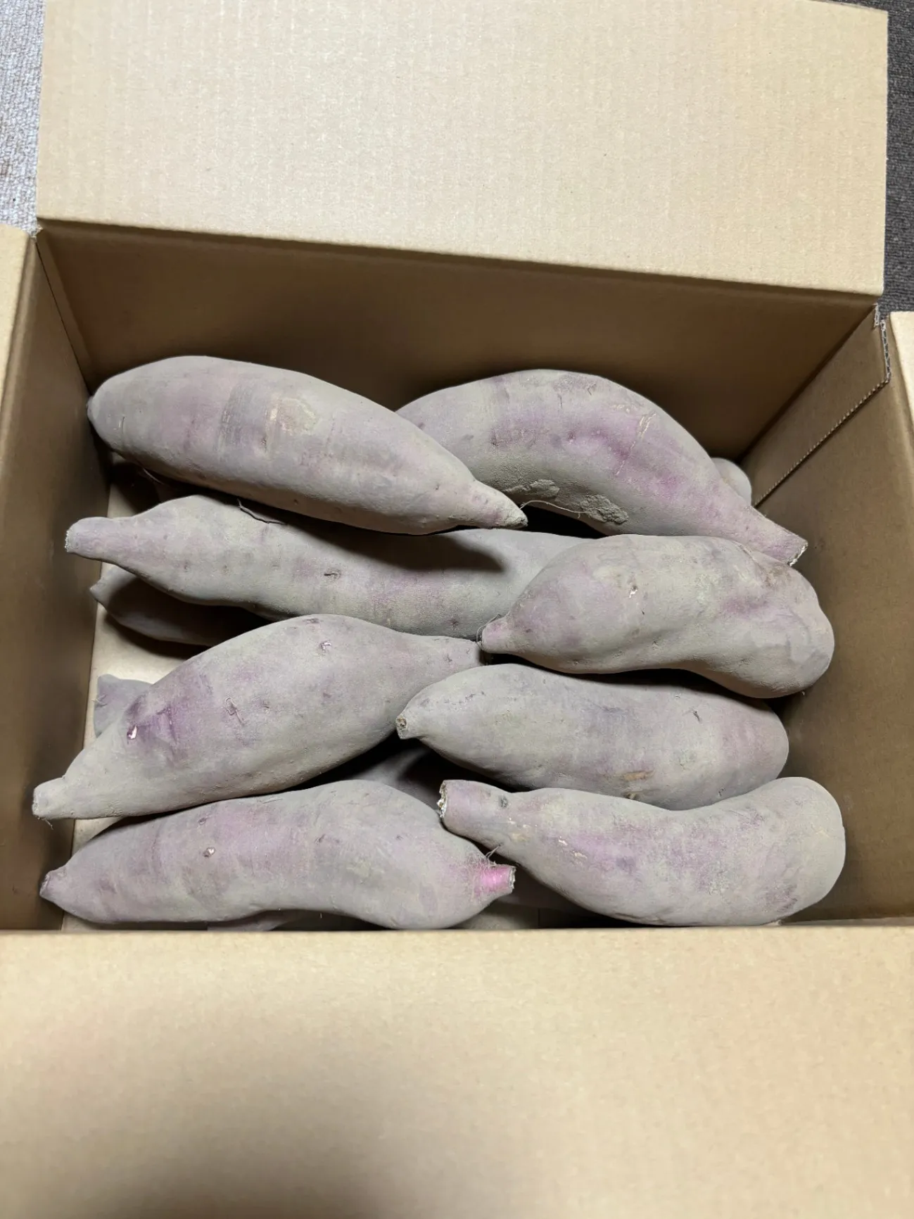 甘い話には、芋がある。『蜜の罠』🍠
農園直送・生さつまいも４kg