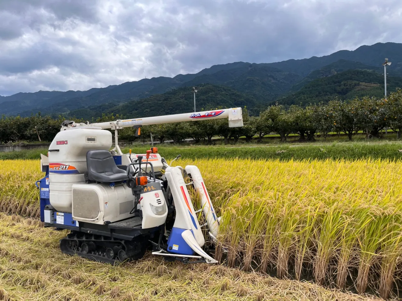 ⭐️新米⭐️福岡県久留米市田主丸町産 ヒノヒカリ 玄米10kg【精米対応、追加料金あり】