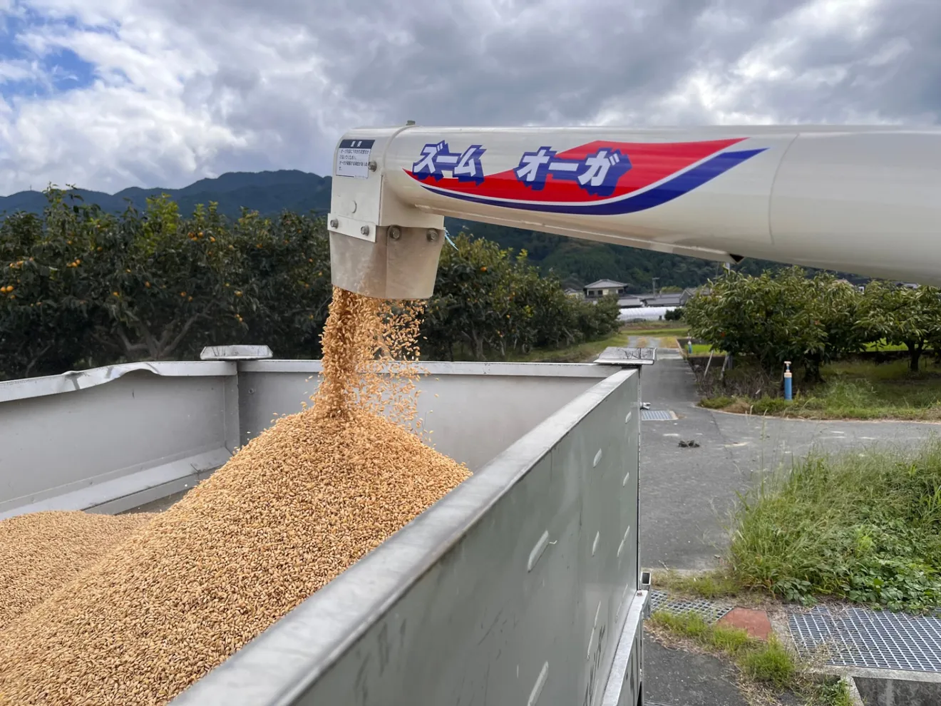 ⭐️新米⭐️福岡県久留米市田主丸町産 ヒノヒカリ 玄米10kg【精米対応、追加料金あり】