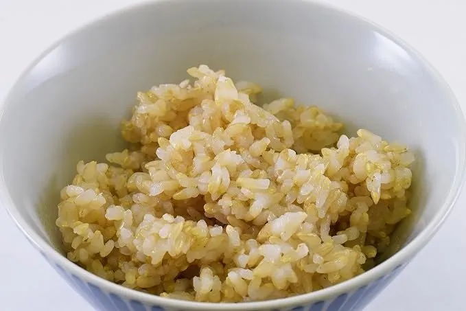パールライス ラドファ 金のいぶき 発芽玄米 パックごはん 150g×12個セット レトルトご飯 