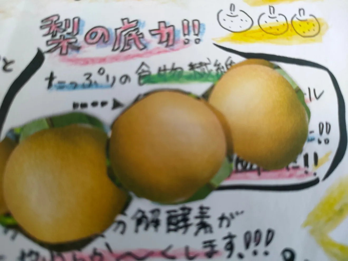 おおいたの梨に大分の野菜を
ふんだんに入れた
梨ドレッシング
野菜に〜お肉に〜たっぷり🎶かけてどうぞ