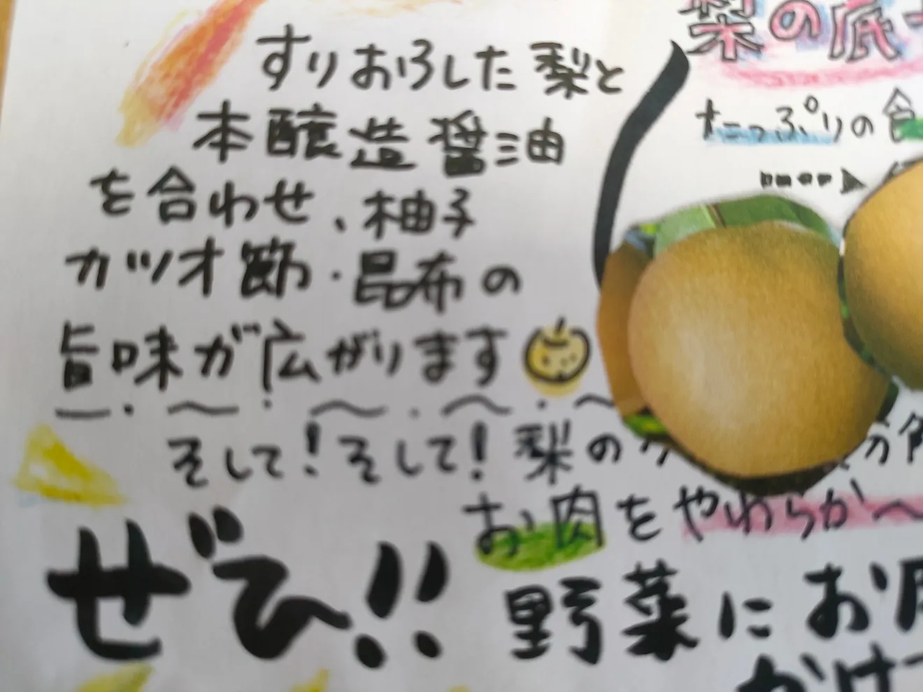 おおいたの梨に大分の野菜を
ふんだんに入れた
梨ドレッシング
野菜に〜お肉に〜たっぷり🎶かけてどうぞ