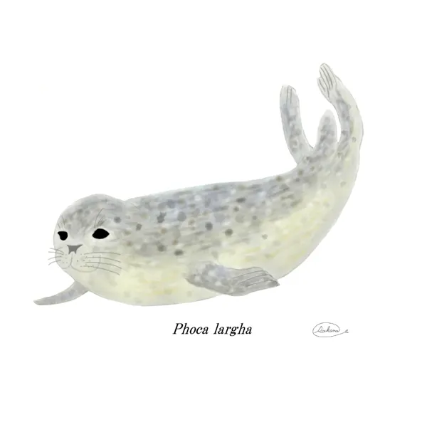 【ハンドメイド】水彩ポストカード｜癒しの動物3点セット｜カワウソ・シロクマ・アザラシ
