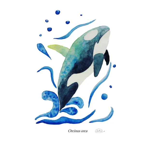 【ハンドメイド】水彩ポストカード｜海の生き物3点セット｜シャチ・アオウミガメ・ミンククジラ