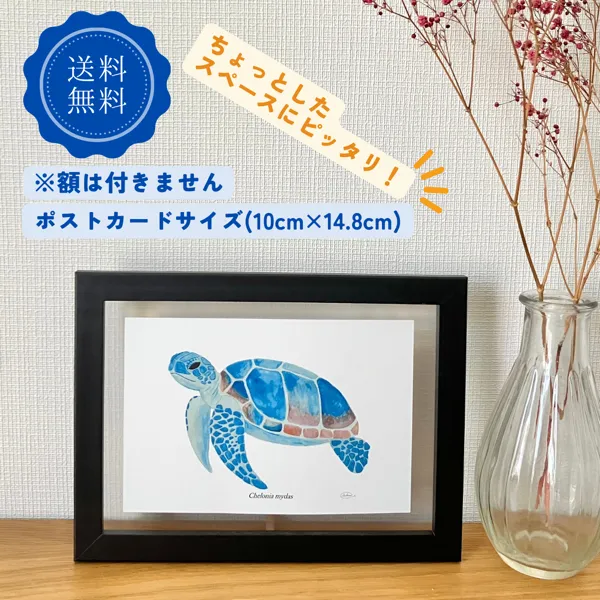 【ハンドメイド】水彩ポストカード｜海の生き物3点セット｜シャチ・アオウミガメ・ミンククジラ