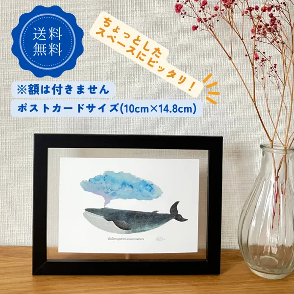 【ハンドメイド】水彩ポストカード｜海の生き物3点セット｜シャチ・アオウミガメ・ミンククジラ