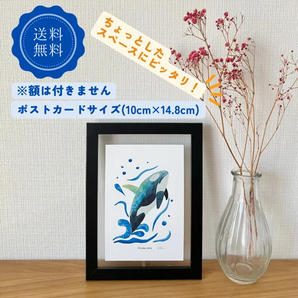 【ハンドメイド】水彩ポストカード｜海の生き物3点セット｜シャチ・アオウミガメ・ミンククジラ
