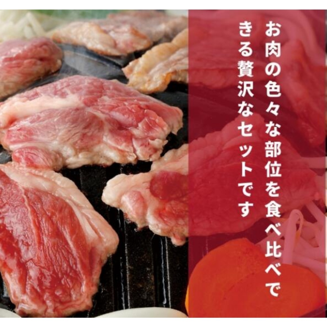 肉の山本 千歳ラム工房 北海道仕込み 生ラム食べ比べセット 肩ロース ショルダー ランプ 3種部位