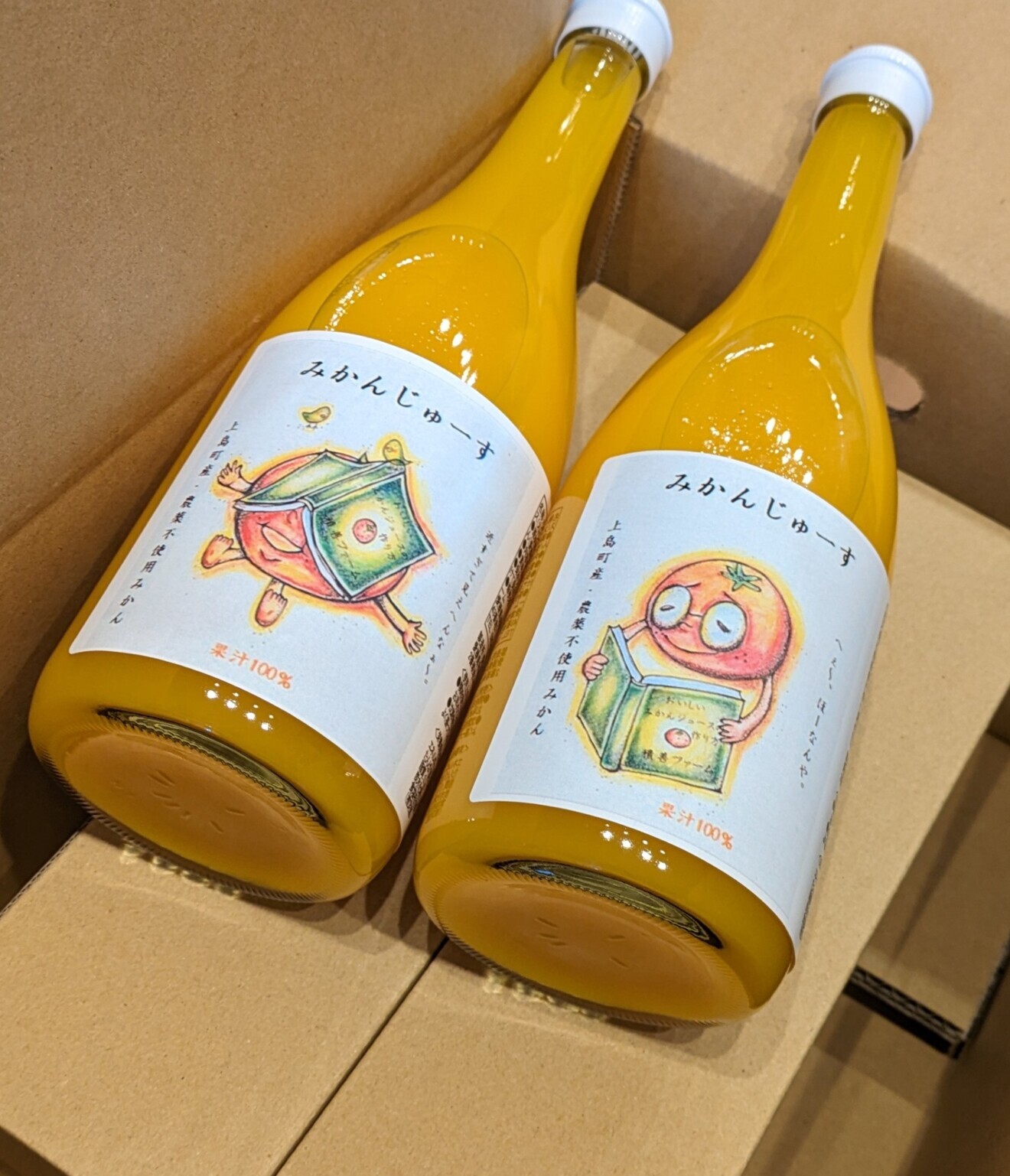 みかんジュース【720ml×12本】