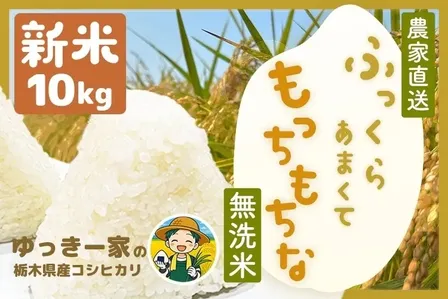【秋の味覚】新米コシヒカリ 10kg 無洗米 栃木県産　令和８年産　農家直送でお届けします。