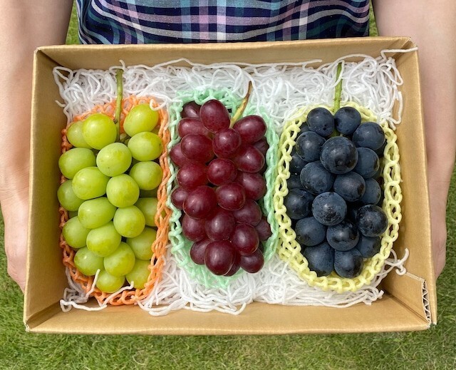 【定番＆厳選品種！】シャインマスカット＋その日においしいオススメ品種厳選２房　合計３房