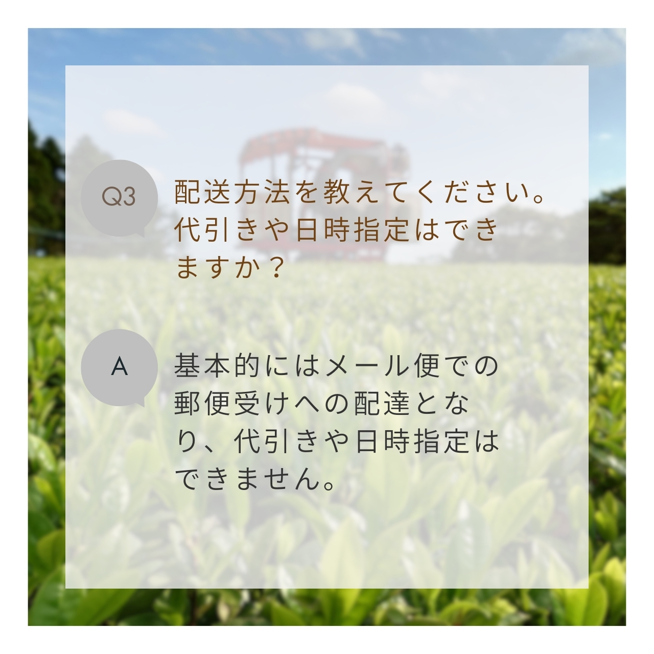 松下製茶 種子島の有機緑茶『松寿(しょうじゅ)』 茶葉(リーフ) 70g