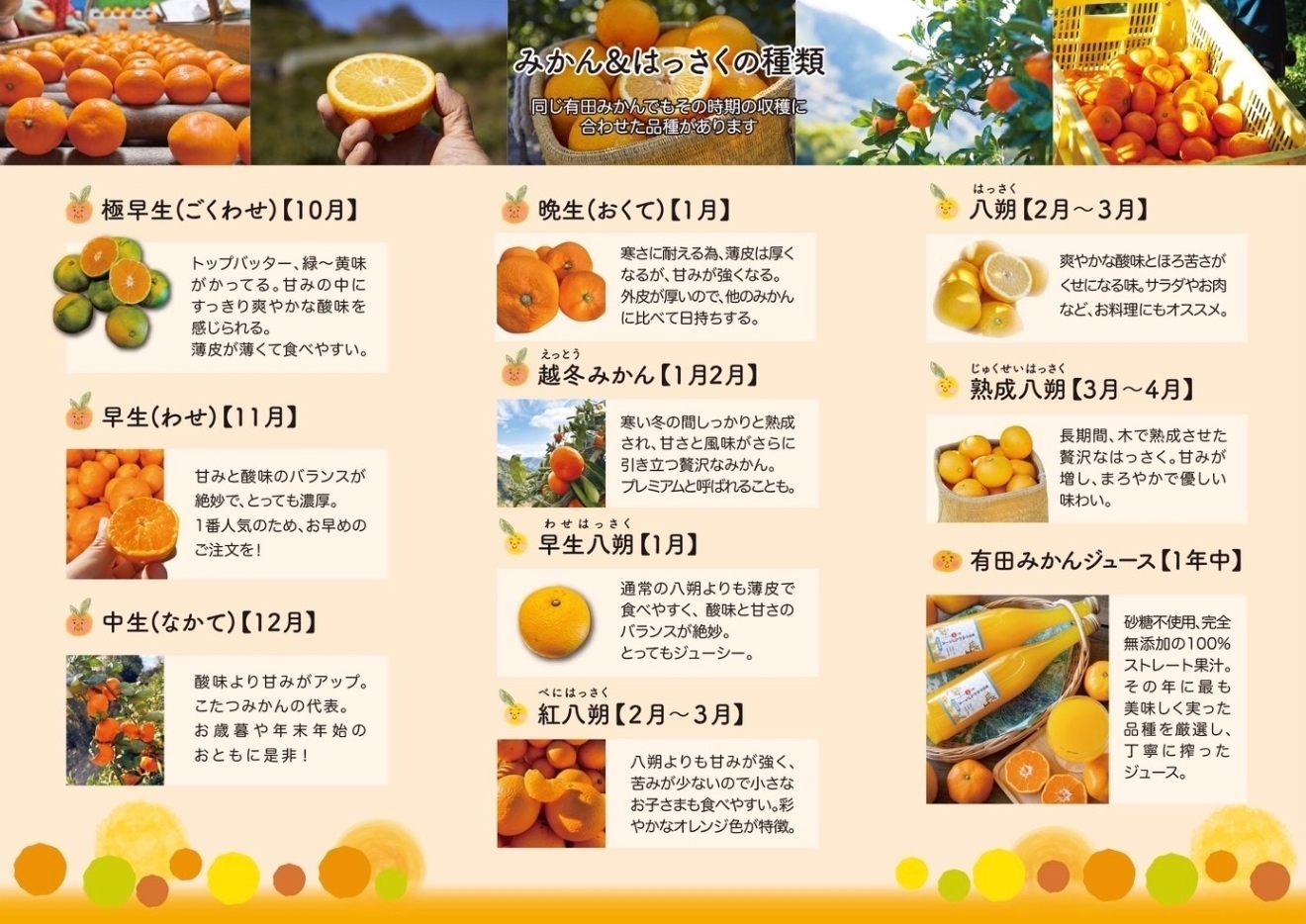 【プチプチ食感がクセになる】ぼくとじぃじの完熟はっさく約1２個