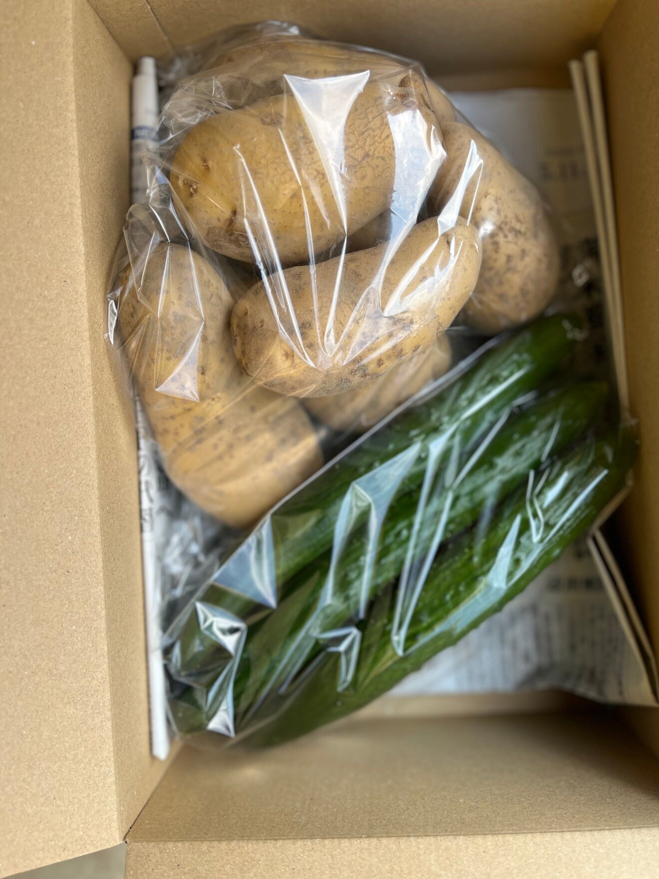 【旬の野菜２種】人気野菜セット