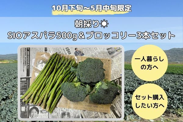 朝採りいっちゃんアスパラ＆ブロッコリーセット
採れたて24時間以内発送（クール便）