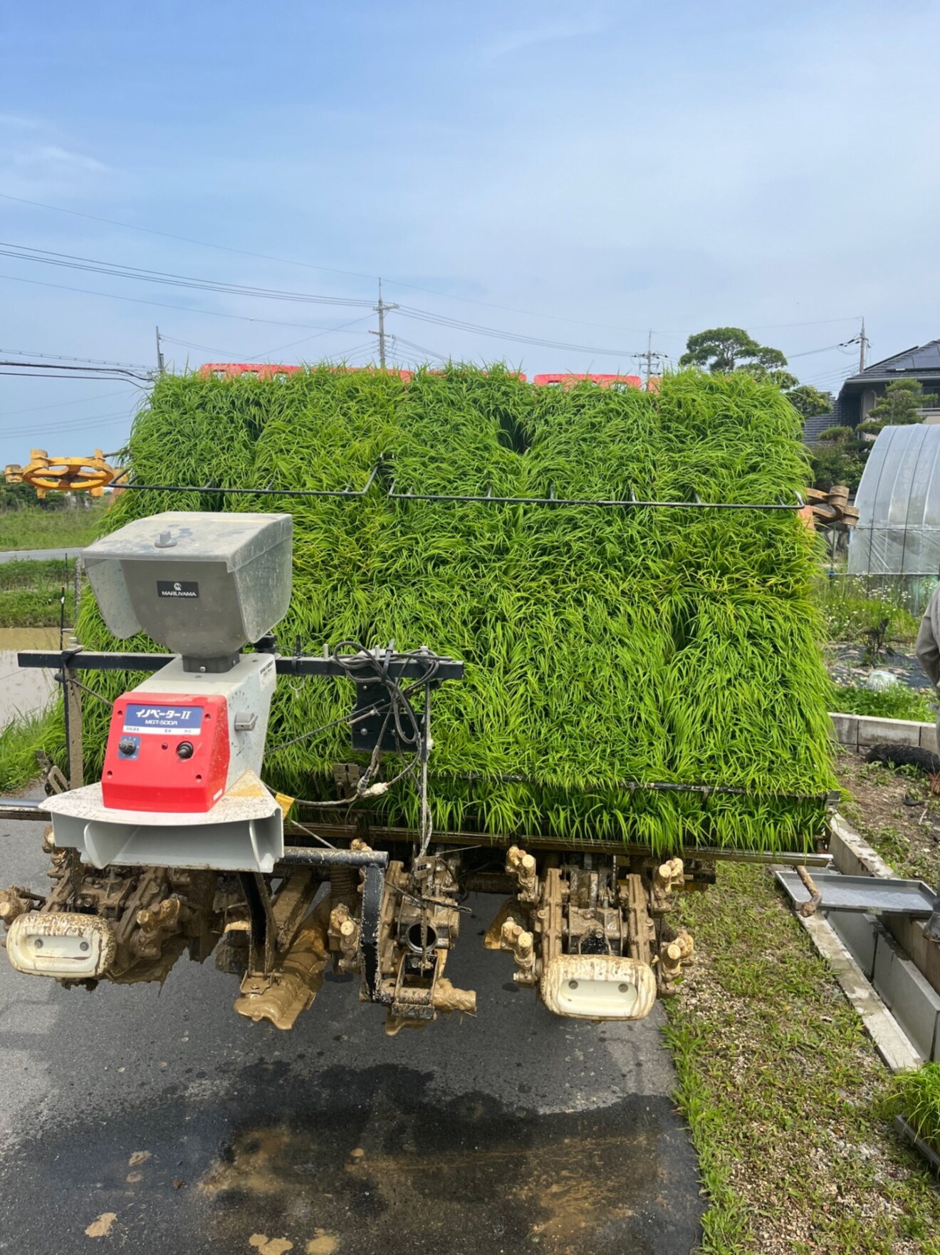 💕感謝💕今シーズン売り切れなりました🙏
いつも応援ありがとございます📣

