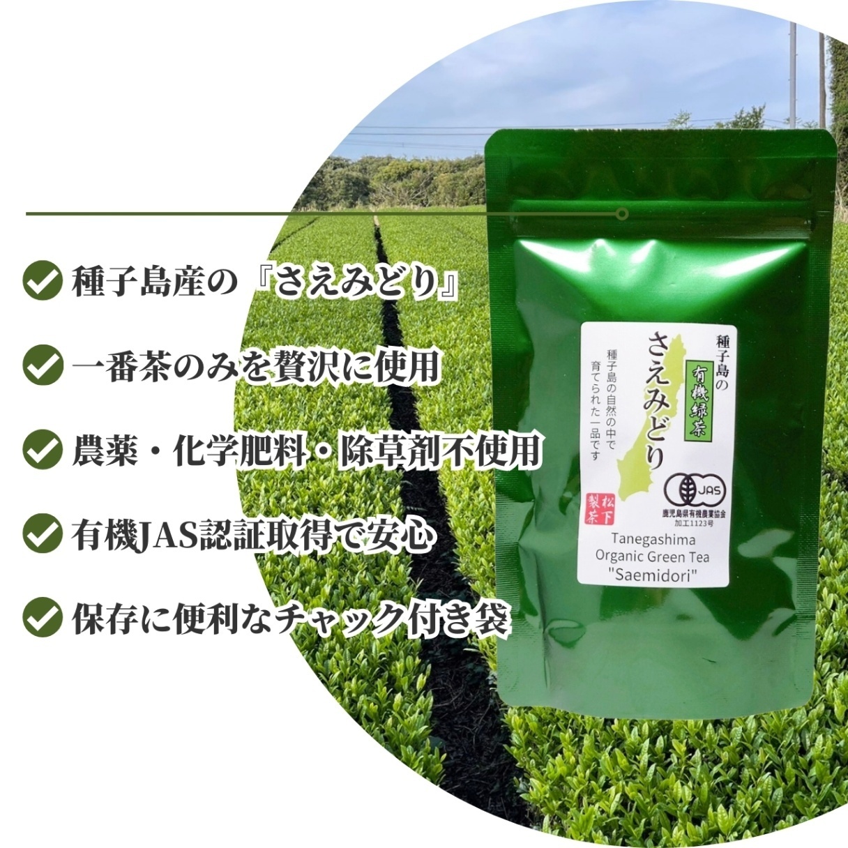 松下製茶 種子島の有機緑茶『さえみどり』 茶葉(リーフ) 100g