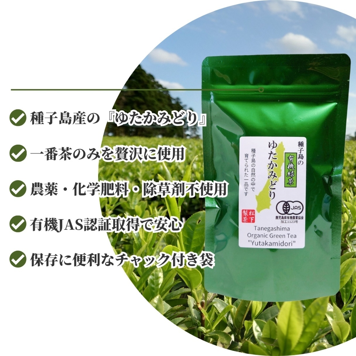 松下製茶 種子島の有機緑茶『ゆたかみどり』 茶葉(リーフ) 100g