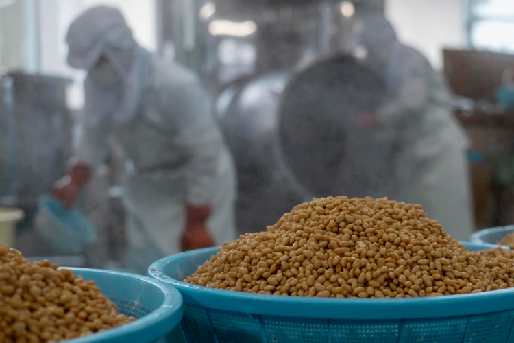 【リベ限定】名水仕込みそ900g【送料無料】国産原料・天然醸造