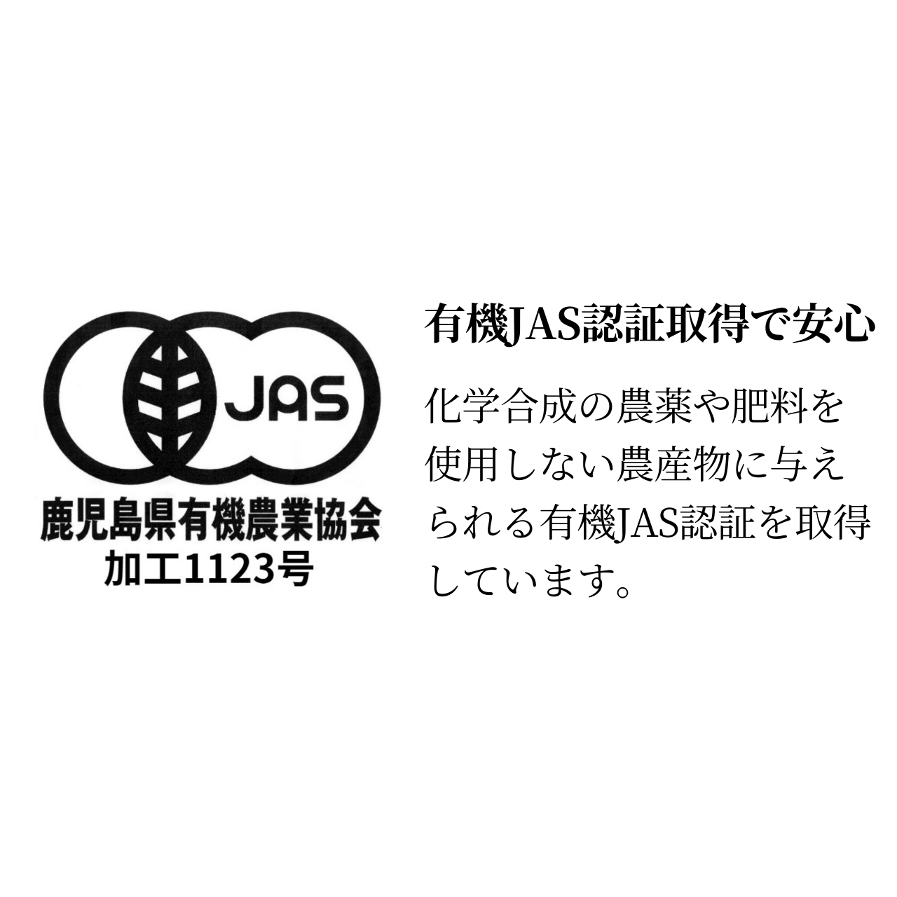 松下製茶 種子島の有機緑茶『やぶきた』 茶葉(リーフ) 100g