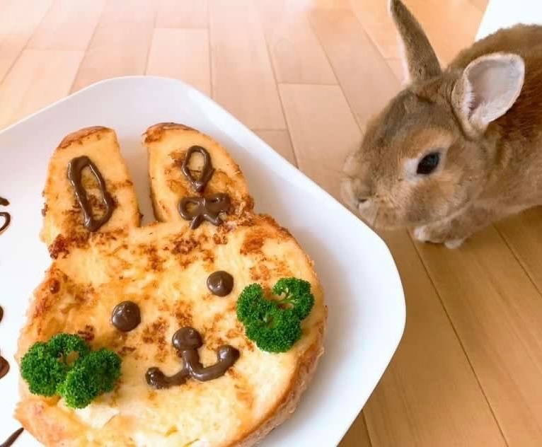 うさぎ食パン【プレミアム】　 
6月22日(木)焼成発送
