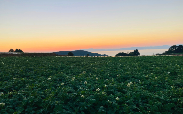 【5月予定】長崎雲仙からお届け！メークイン5kg