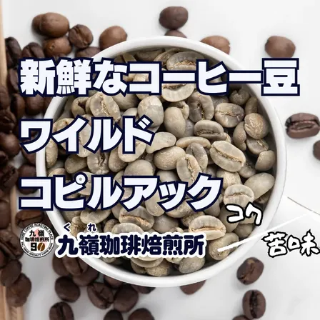 🇮🇩ワイルドコピアック 自家焙煎コーヒー豆 100g【焙煎 挽き方思いのまま】