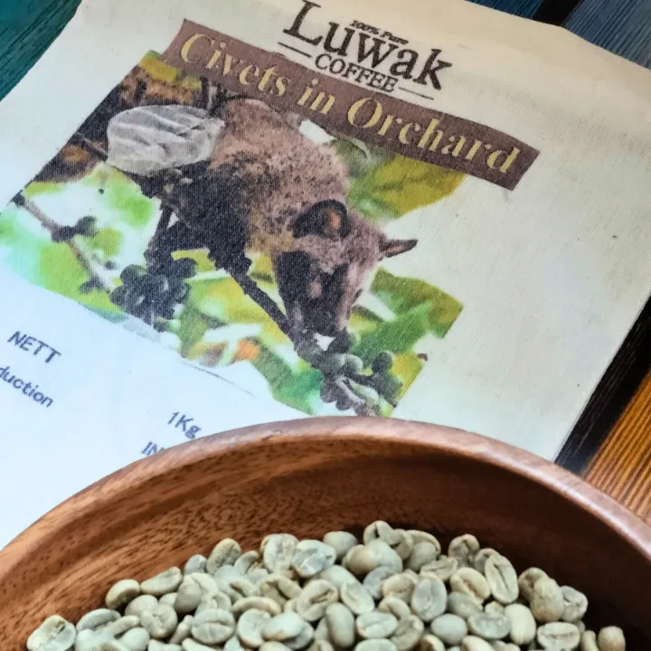 🇮🇩ワイルドコピアック 自家焙煎コーヒー豆 100g【焙煎 挽き方思いのまま】