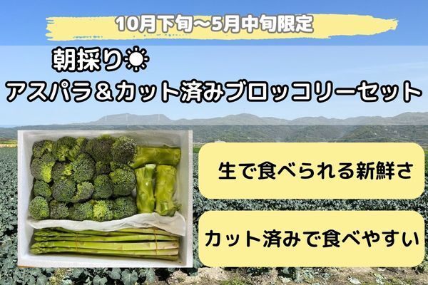 朝採りカット済！ブロッコリー🥦＆朝採りアスパラ
採れたて24時間以内発送（クール便）