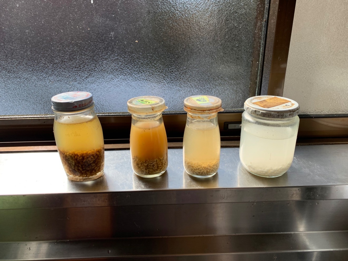 10年以上無農薬自然栽培　新米ササニシキ　10キロ