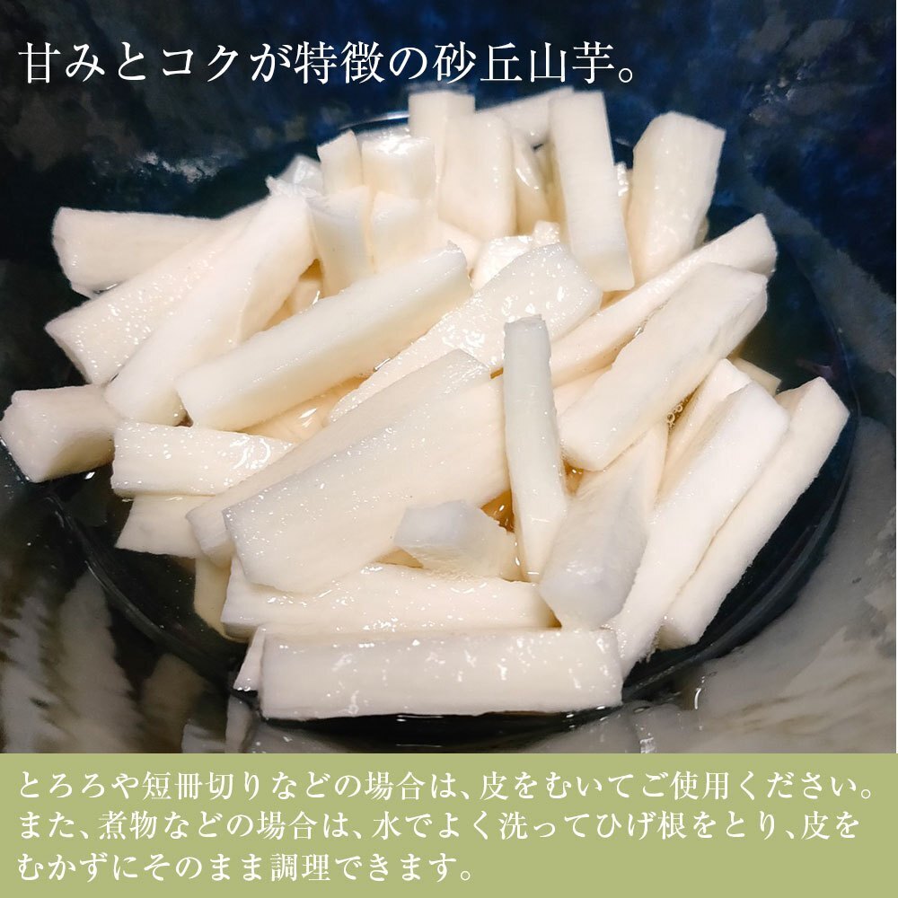 【贈答用】砂丘ながいも　長芋 10kg程度　とろろ　ねばり　山芋　根菜