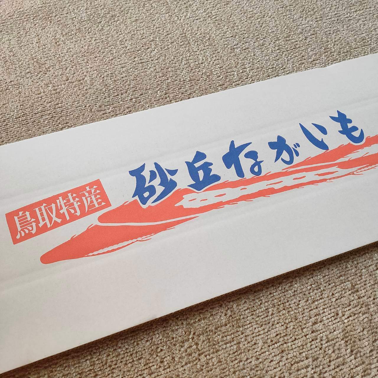 【贈答用】砂丘ながいも　長芋 10kg程度　とろろ　ねばり　山芋　根菜