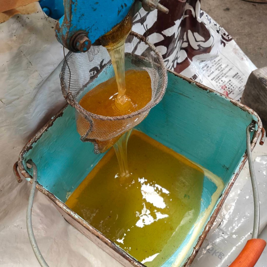 【5名様限定】純粋はちみつ 食べ比べ 150g×3（百花/アカシア/トチ）非加熱 無添加 鳥取県産