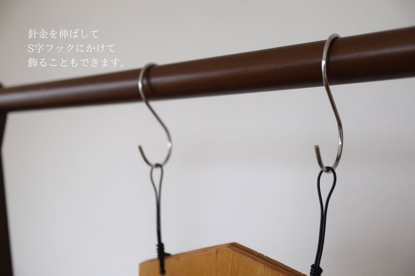 【壁にかけれる植物！】ビカクシダ ベイチー 板付け