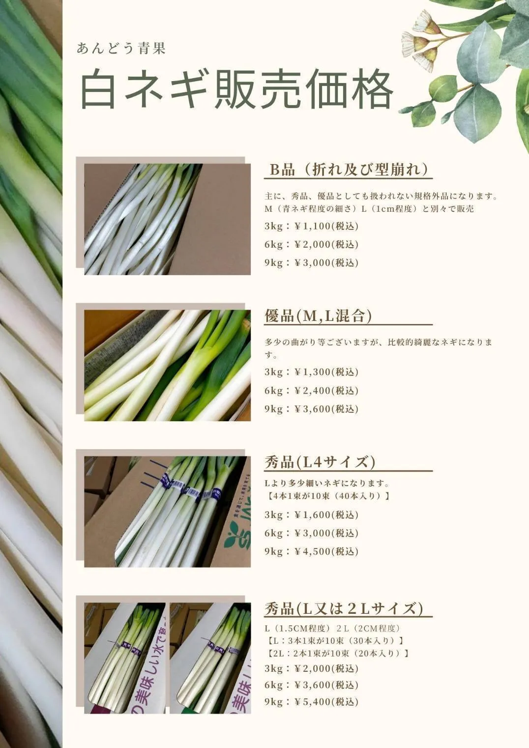 【規格外品】白ネギ 10kg程度 ランダム 白ねぎ 長ねぎ 葱 ランダムサイズ