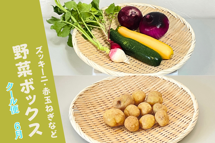 【野菜ボックス】ズッキーニ・赤玉ねぎ他
クール便・60サイズ段ボール