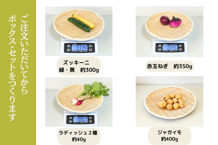 【野菜ボックス】ズッキーニ・赤玉ねぎ他
クール便・60サイズ段ボール