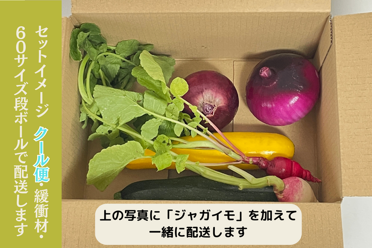 【野菜ボックス】ズッキーニ・赤玉ねぎ他
クール便・60サイズ段ボール