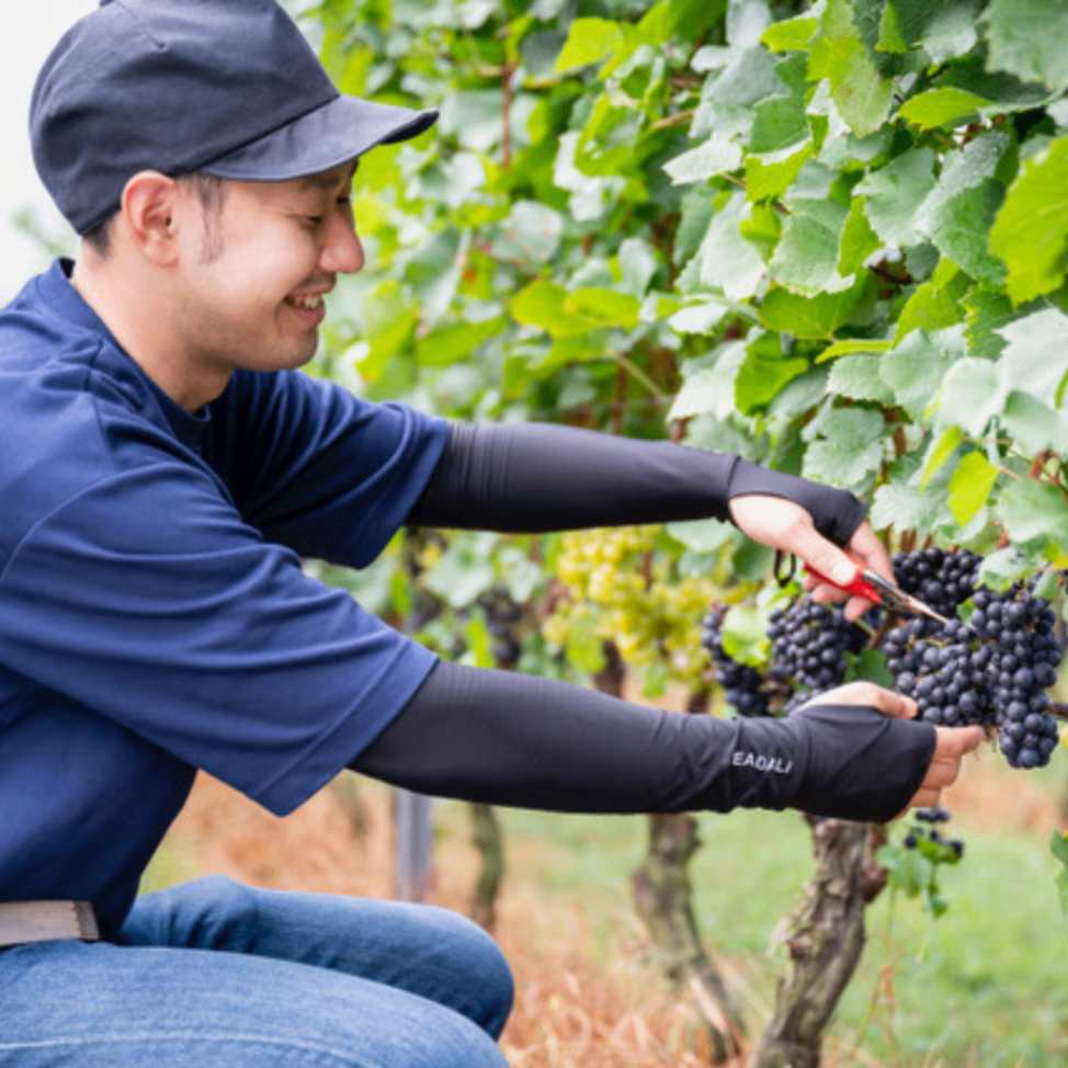 【減農薬ぶどう使用】白ワイン シャルドネ　信州高山村産