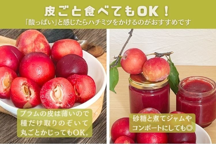 今シーズン終了しました🙏【プラム(すもも)】約500g