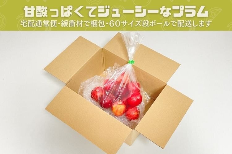 今シーズン終了しました🙏【プラム(すもも)】約500g