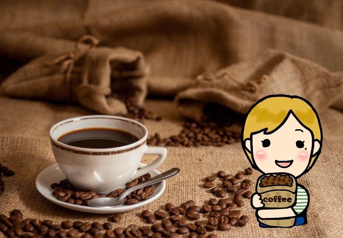 中深煎り「グアテマラ」３００ｇ