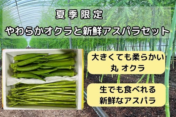 夏季限定　やわらかオクラと新鮮アスパラセット