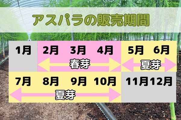 夏季限定　やわらかオクラと新鮮アスパラセット