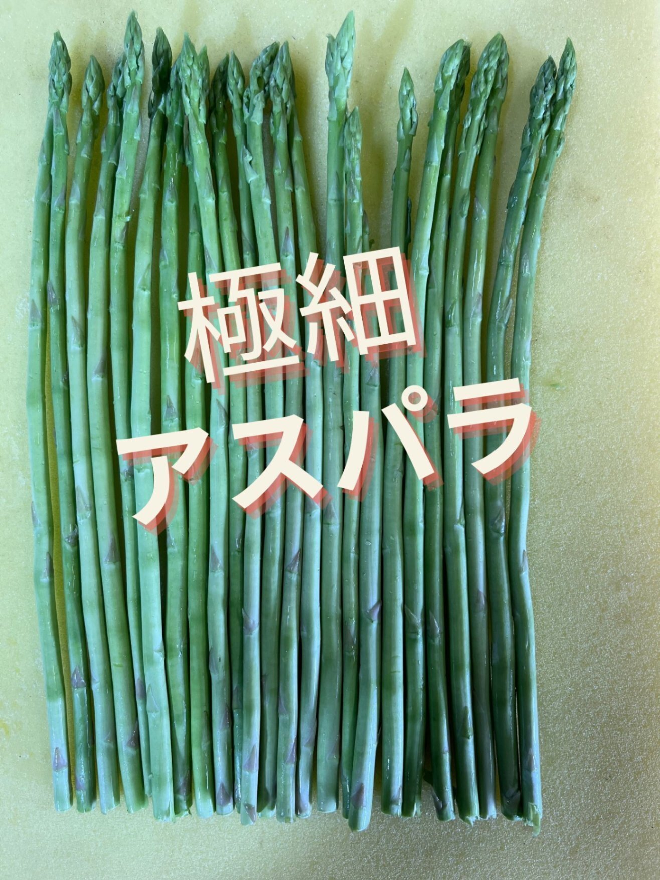 いっちゃんファーム
朝採りいっちゃんアスパラ　細め800g
規格外品のため、お買い得です！
