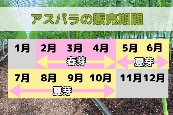いっちゃんファーム
朝採りいっちゃんアスパラ　細め800g
規格外品のため、お買い得です！
