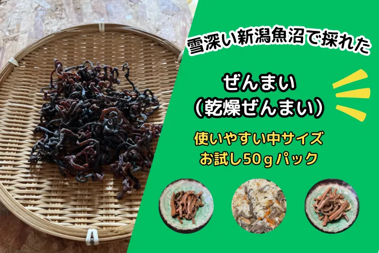 雪深～い⛄新潟南魚沼の山菜　乾燥ぜんまい　中サイズお試し50ｇパック