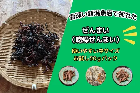 雪深～い⛄新潟南魚沼の山菜　乾燥ぜんまい　中サイズお試し50ｇパック